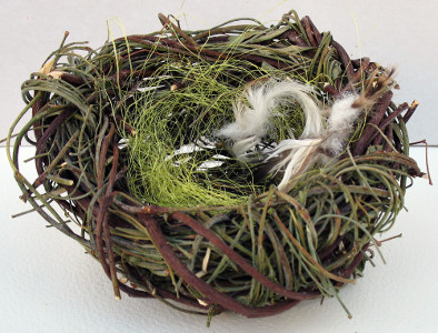 Nest aus den Zweigen des peruanischen Pfefferbaums